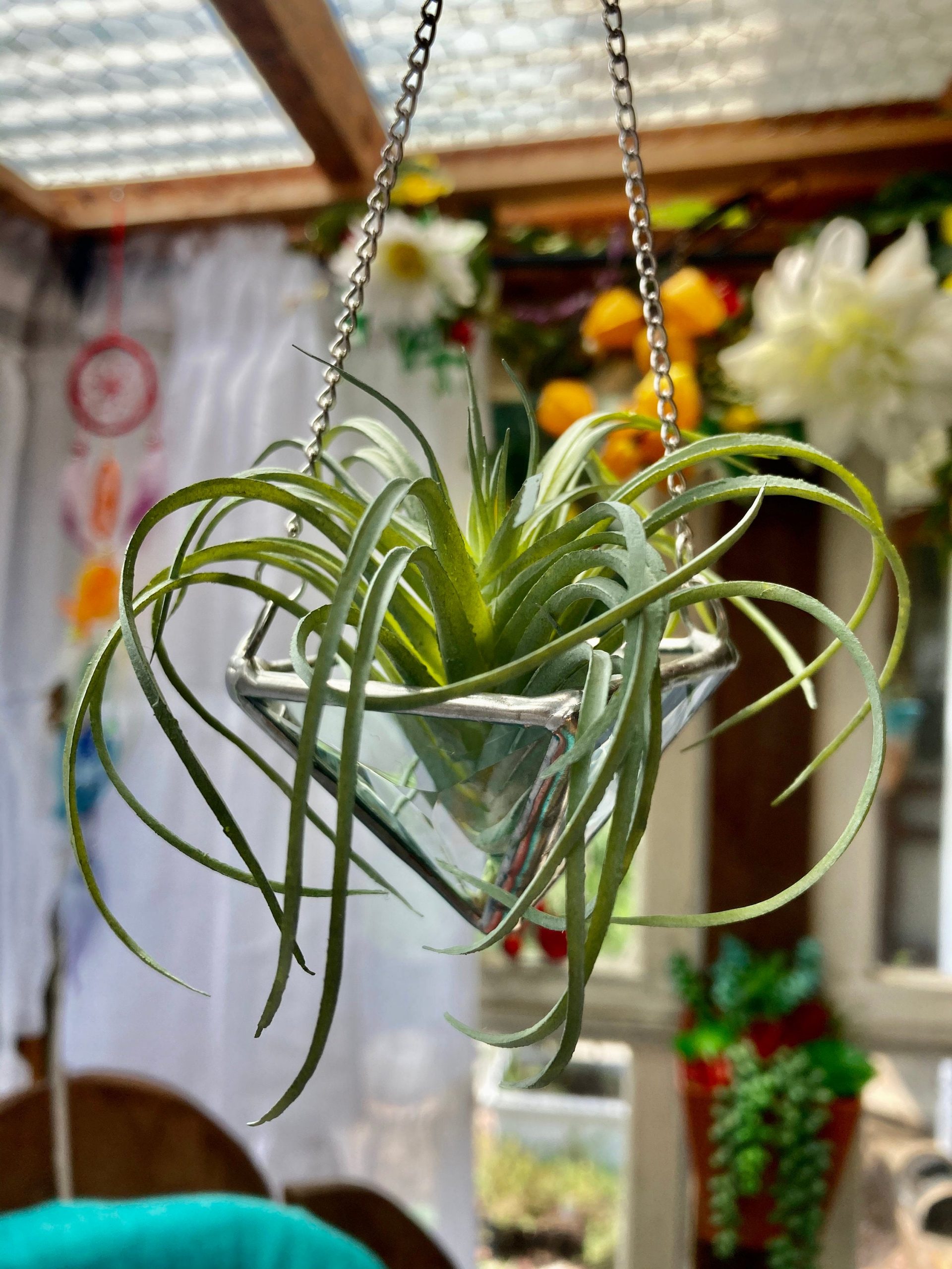 Hanging Air Plant Holder Triangle Pyramid Planter Stained Glass Clear Lead Free Terrarium Suncatcher - Image 2
