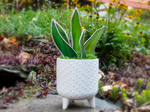 stained glass snake plant in hobnail planter pot mountain woman products