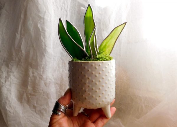 stained glass snake plant mother in laws tongue in white pot mountain woman products