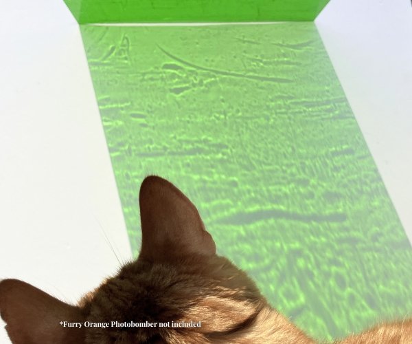 Designer Glass Medium Green Transparent Fusible DB1725 glass showing a medium green grassy color refraction with an orange cat photobombing in the bottom of the pic at the Mountain Woman Products studio