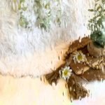 Raindrops clear stained glass sheet with a plant and daisies behind it in Mountain Woman Products studio