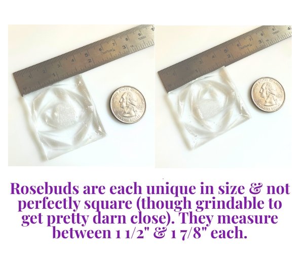 Clear Kokomo Rosebuds for stained glass showing sizing with a quarter and ruler Mountain Woman Products
